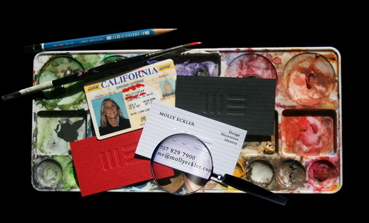 Molly Eckler Contact